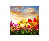 80x80cm Tulpen Landschaft Sonnenuntergang