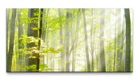 Bilder XXL Wald im Herbst 50x100cm Wandbild auf Leinwand