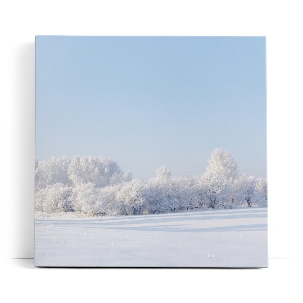 Schneelandschaft Schnee Bäume Weiß Winter