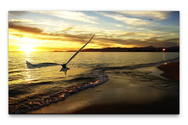 Bilder XXL Adler am Meer Wandbild auf Leinwand