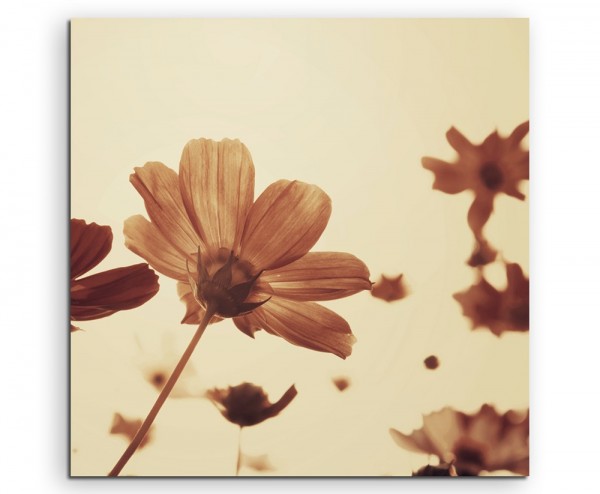 Naturfotografie – Retro Blumen mit Sepia Himmel auf Leinwand