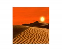 80x80cm Afrika Wüste Sanddüne Sonne Abendrot