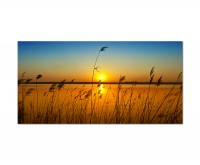 120x80cm Sonnenuntergang See Gras