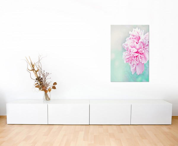 120x80cm Pfingstrose Blume rosa Hintergrund floral