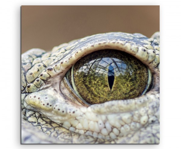 Tierfotografie – Auge eines Alligators auf Leinwand