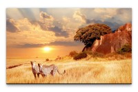 Bilder XXL Afrikanische Savanne Wandbild auf Leinwand