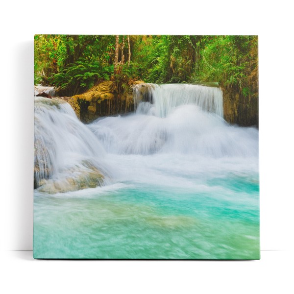 Bach im Dschungel Wasserfall Grün Tropisch Natur
