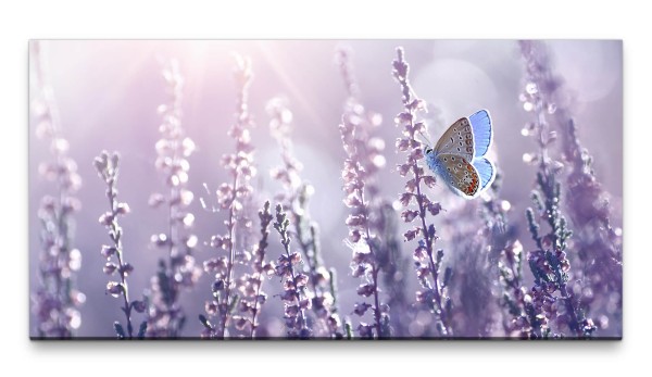 Bilder XXL Lavendel mit Schmetterling 50x100cm Wandbild auf Leinwand
