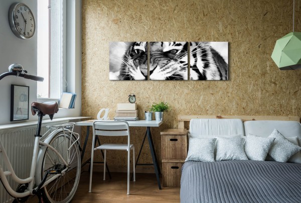 Tiger in schwarz weiß Wandbild in verschiedenen Größen