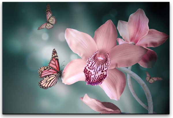 Blume mit Schmetterling Wandbild in verschiedenen Größen