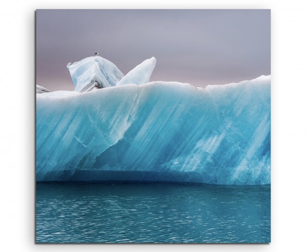 Landschaftsfotografie – Möwen auf Eis, Island auf Leinwand