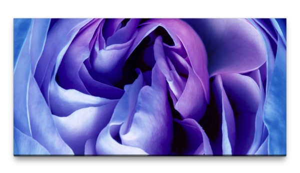 Bilder XXL Rose Lila 50x100cm Wandbild auf Leinwand