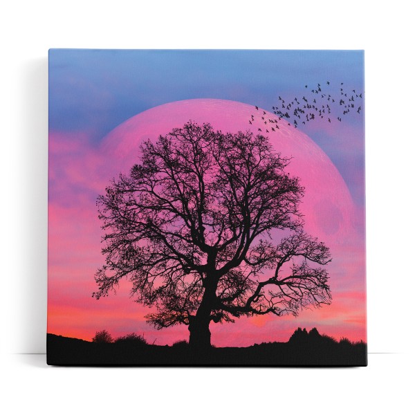 Baum Vollmond Nacht Fantasievoll Vögel Rosa