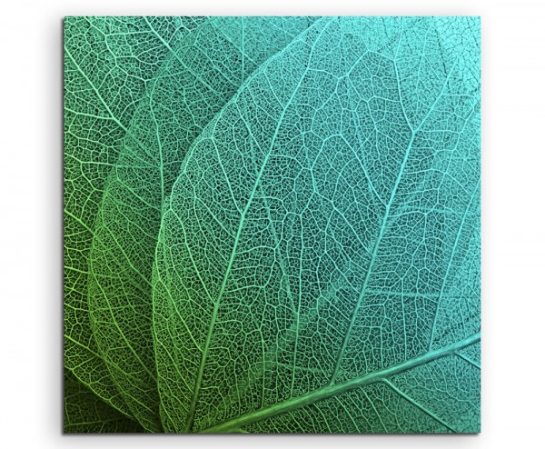 Naturfotografie – Grüne Blätter mit Strukturen auf Leinwand
