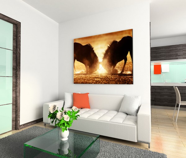 120x80cm Wandbild Gnus Kampf Dunst Sonnenlicht Kalahari Wüste