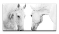 Bilder XXL Zwei weiße Pferde 50x100cm Wandbild auf Leinwand
