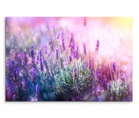 120x80cm Wandbild Lavendelfeld Sonnenlicht Sommer