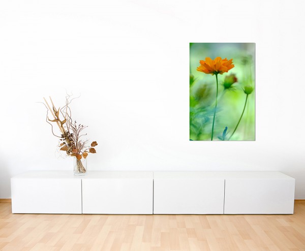 120x80cm Blume orange Hintergrund grün