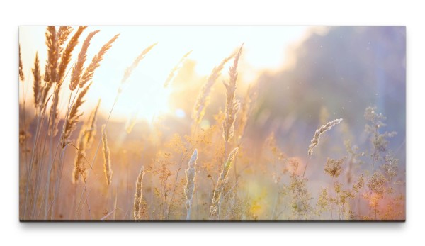 Bilder XXL Frühling 50x100cm Wandbild auf Leinwand