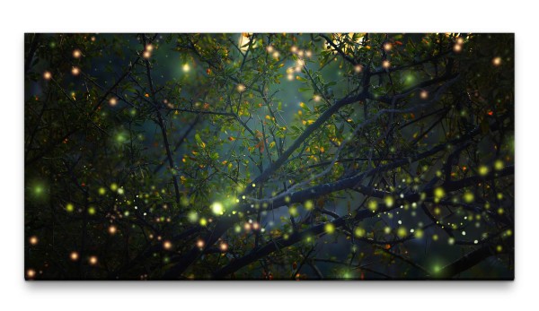 Bilder XXL Magische Lichter 50x100cm Wandbild auf Leinwand