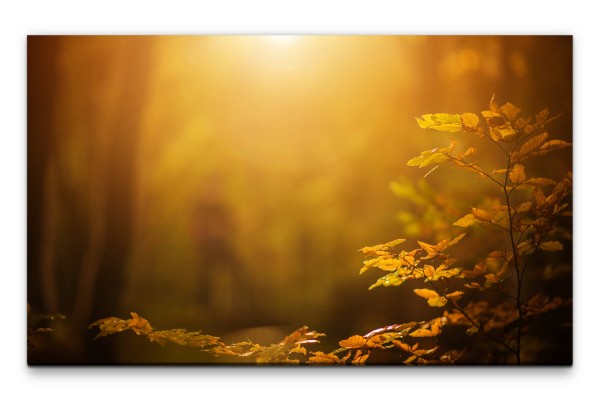 Bilder XXL Strahlende Sonne Wandbild auf Leinwand