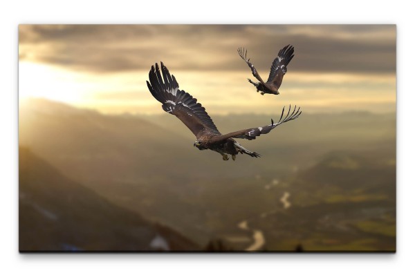 Bilder XXL Adler im Gebirge Wandbild auf Leinwand
