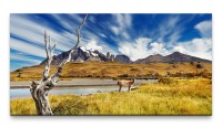 Bilder XXL Chile 50x100cm Wandbild auf Leinwand