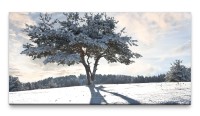 Bilder XXL Baum im Schnee 50x100cm Wandbild auf Leinwand