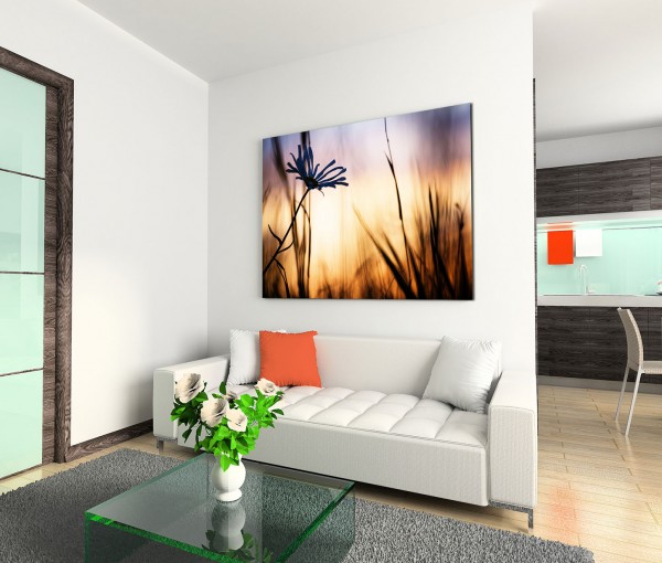 120x80cm Wandbild Feld Kornblume Sommer Sonnenuntergang