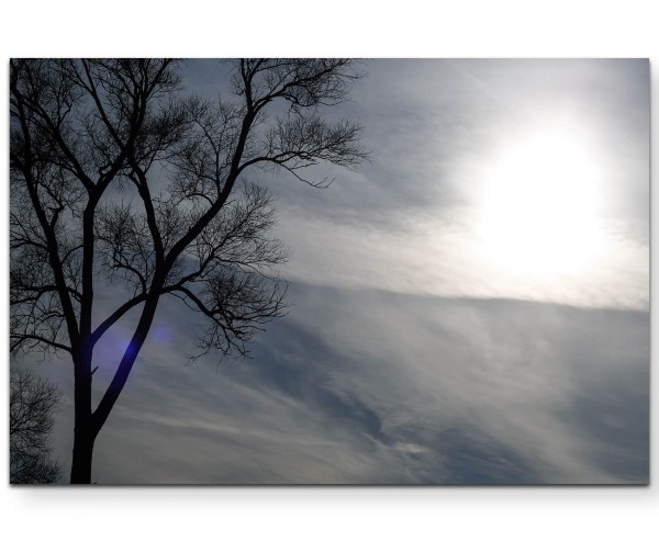 Baum, Sonne, Wolken - Leinwandbild