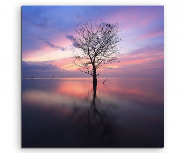 Landschaftsfotografie  Baum bei Sonnenaufgang auf Leinwand exklusives Wandbild moderne Fotografie f