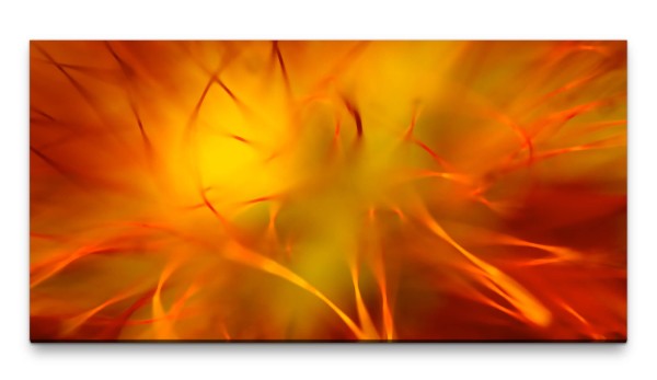 Bilder XXL Blüte orange 50x100cm Wandbild auf Leinwand