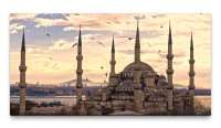 Bilder XXL Istanbul mit Vögeln 50x100cm Wandbild auf Leinwand
