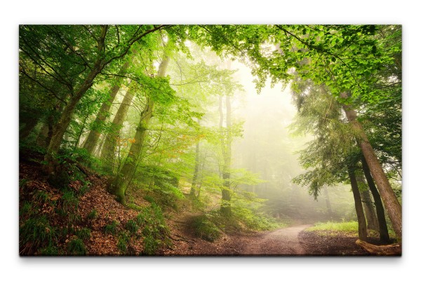 Bilder XXL Weg im Grünen Wald Wandbild auf Leinwand