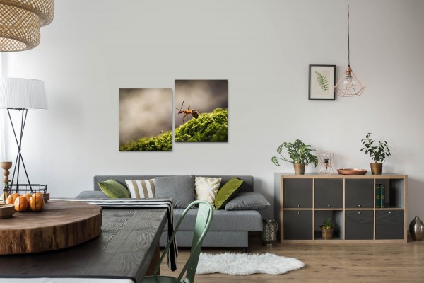 Wald mit Ameise Wandbild in verschiedenen Größen