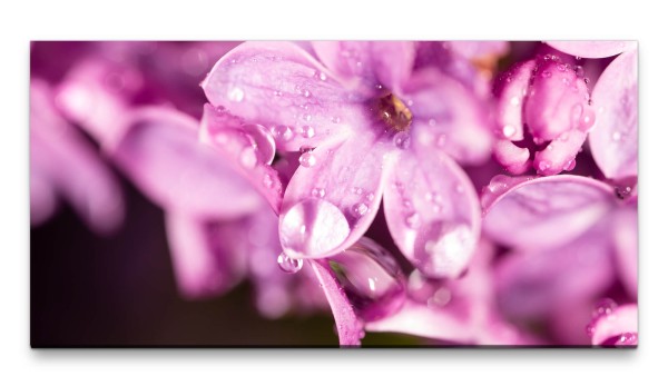 Bilder XXL pinke Blumen 50x100cm Wandbild auf Leinwand