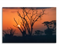 120x80cm Wandbild Afrika Sonnenuntergang Bäume