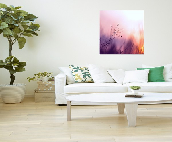 80x80cm Gräser Sonnenaufgang Sommer