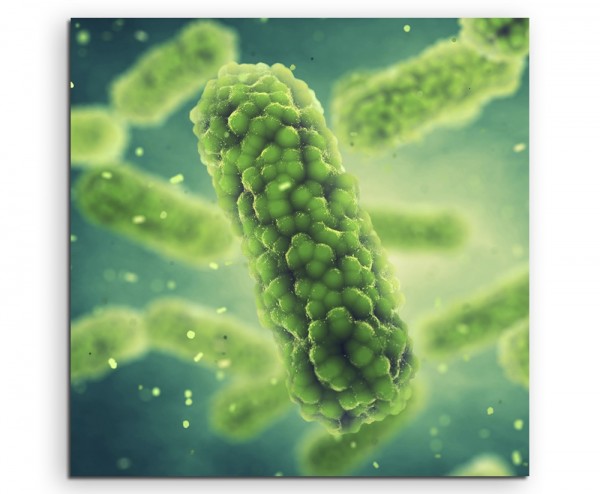 Wissenschaftliche Abbildung – Großabbild eines Bakterium auf Leinwand