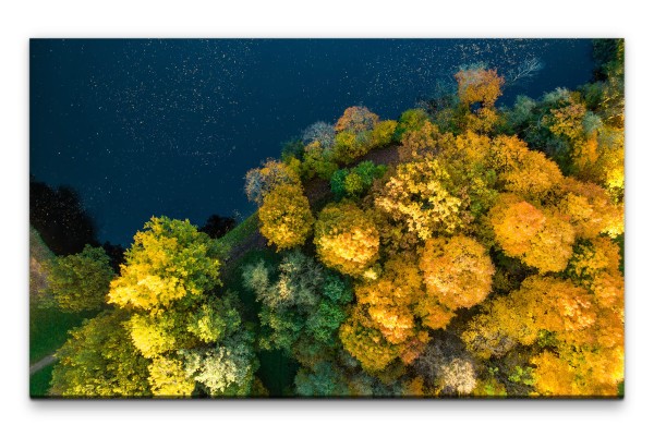 Bilder XXL Bäume am See Wandbild auf Leinwand