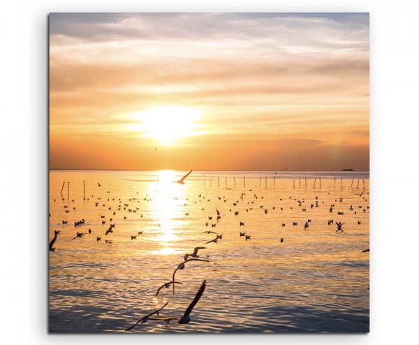 Landschaftsfotografie Möwen am Meer bei Sonnenuntergang auf Leinwand exklusives Wandbild moderne