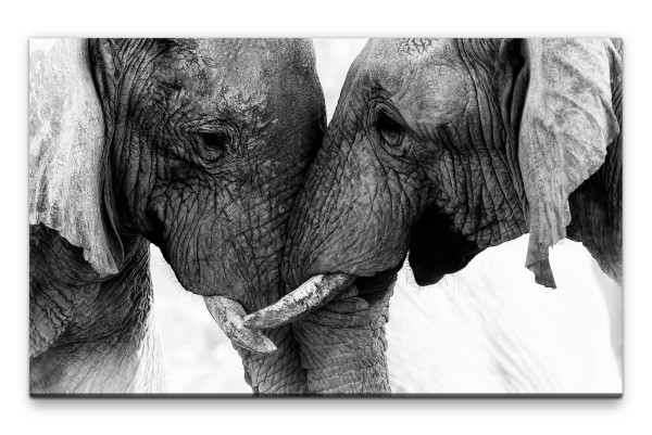 Bilder XXL Liebende Elefanten Wandbild auf Leinwand