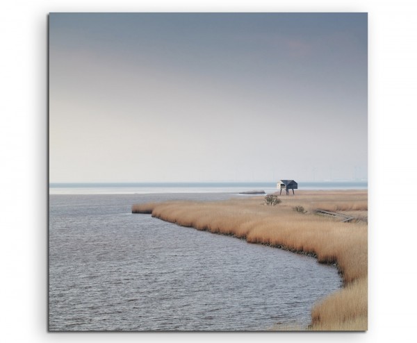 Landschaftsfotografie  Schilf am Meer, Nieuwe Statenzijl auf Leinwand exklusives Wandbild moderne