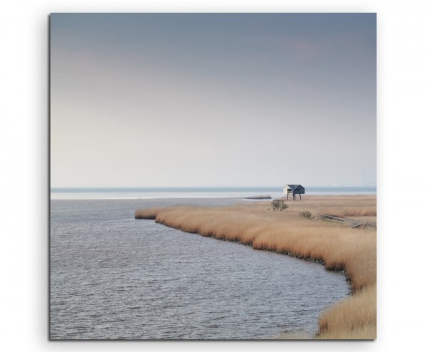 Landschaftsfotografie Schilf am Meer, Nieuwe Statenzijl auf Leinwand exklusives Wandbild moderne