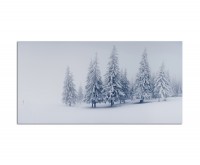 120x60cm Winter Bäume Schnee Landschaft