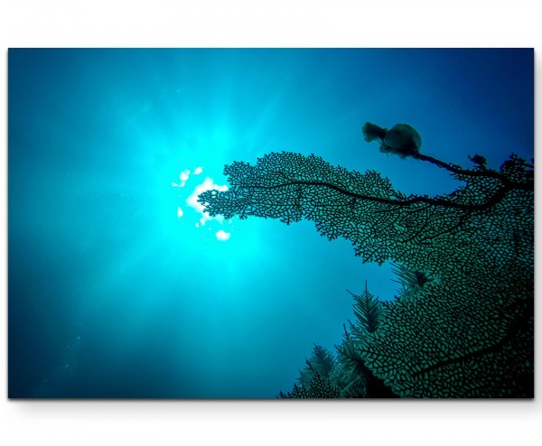 Unterwasser Sonnenstrahlen - Leinwandbild