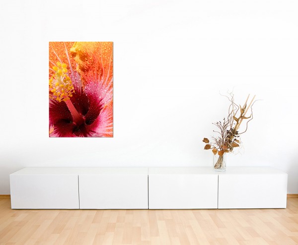 120x60cm Hibiskusblüte Wassertropfen makro