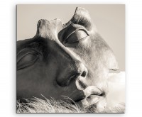 Künstlerische Fotografie – Maskenskultptur auf Leinwand