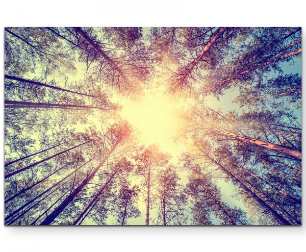 Vintage Wald, Baumwipfel - Leinwandbild