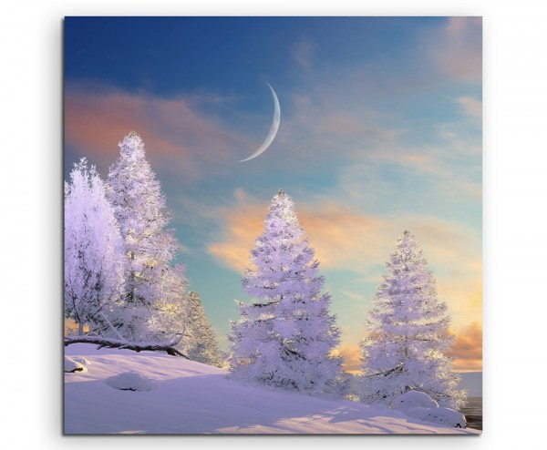 Landschaftsfotografie Baumgruppe im Schnee mit Mond auf Leinwand exklusives Wandbild moderne Foto